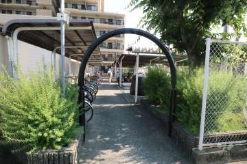 駐輪場入り口