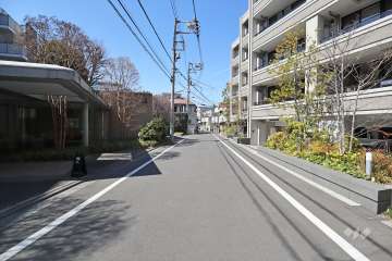 敷地南側の前面道路(東側から)