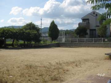 マンション西側の広場