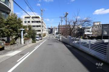 敷地南側の前面道路（西側から）