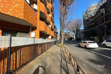 敷地南東側の前面道路（南西側から）