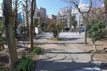 隣接する公園（パークシティ溝の口プレイロット）