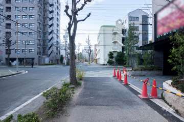 敷地南側の前面道路（東側から）