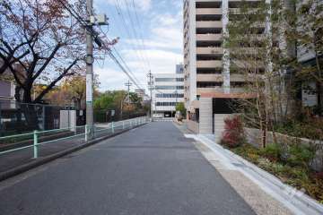 敷地西側の前面道路（南側から）