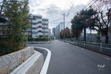 敷地西側の前面道路（北側から）