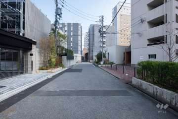 敷地南側の前面道路（西側から）