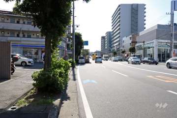 敷地北西側の前面道路（県道2号綱島街道）