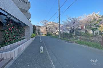 敷地西側の前面道路（北側から）