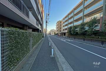 敷地西側の前面道路（北側から）