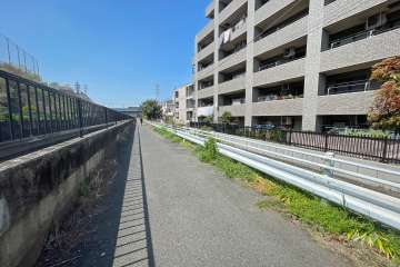 敷地南側の前面道路