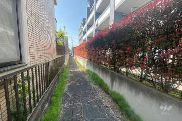 敷地南側の前面道路