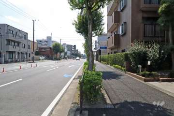 敷地東側の前面道路(北側から)