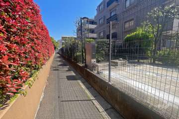 敷地北側の通路