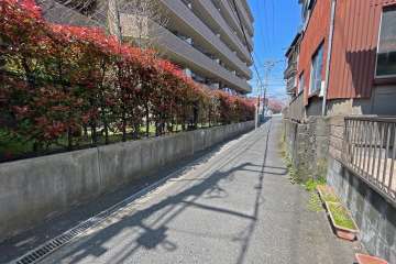 敷地東側の前面道路（南側から）