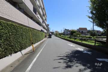 敷地南側の前面道路