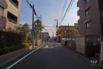 敷地西側の前面道路(北側から)