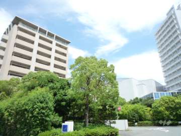 敷地南・東側は『ノボテル甲子園』の敷地で緑豊かです。
