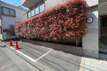 敷地内駐車スペース