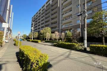 敷地西側の前面道路　