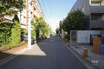 敷地南側の前面道路(西側から)