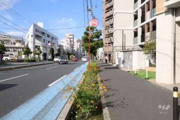 敷地西側の前面道路（南側から）