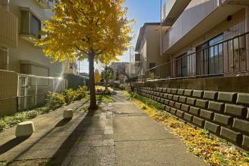 敷地西側の通路（北側から）