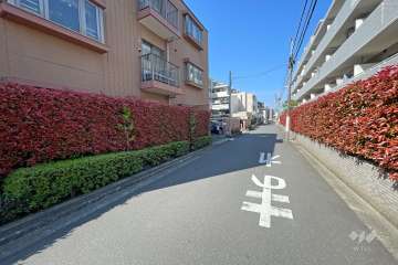 敷地北側の前面道路（東側から）