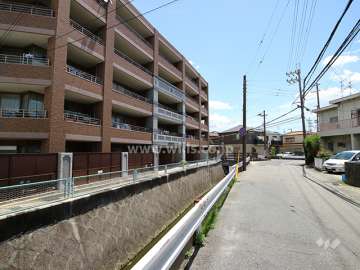敷地南西側の水路
