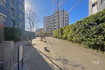 敷地の北側前面道路（東側から）