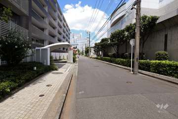 敷地東側の前面道路（南側から）