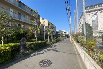 敷地北側の前面道路