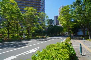 敷地南西側の前面道路（南東側から）