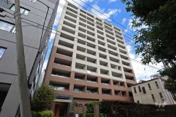 藤和シティホームズ新丸子の外観(南西側から)