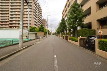 敷地東側の前面道路（南側から）