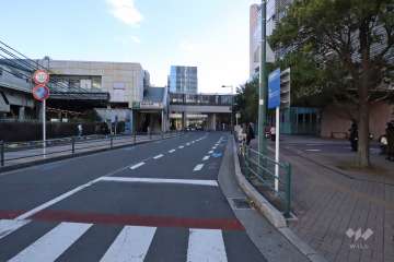 敷地北側の前面道路(西側から)