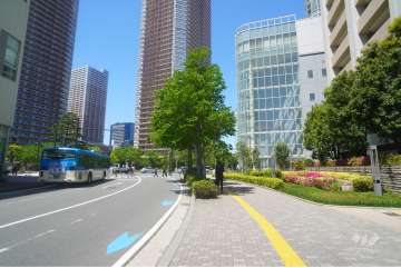 敷地西側の前面道路（南側から）
