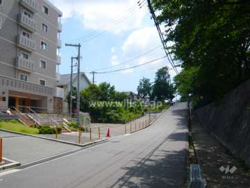 敷地北側の前面道路。道を挟んで北側には『大池公園』があります。