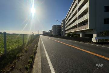 敷地の東側前面道路（北側から）