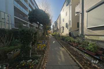 敷地の西側前面道路（北側から）