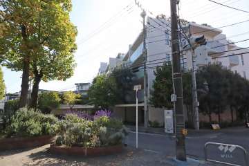 クレッセント新川崎エグゼの外観(北側から)