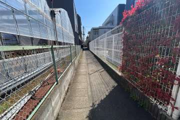 敷地北側の通路（西側から）