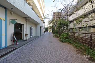 敷地南西側の前面道路(北西側から)