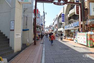 敷地北側の前面道路　