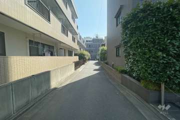 敷地北側の前面道路（西側から）