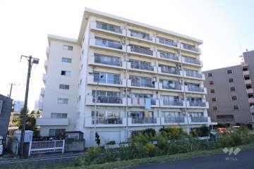 ニュー玉川マンションの外観(北東側から)