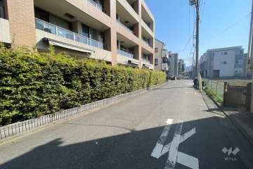 敷地西側の前面道路（北側から）