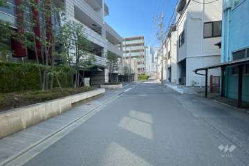 敷地東側の前面道路（南側から）
