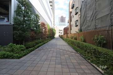 敷地南側の前面道路