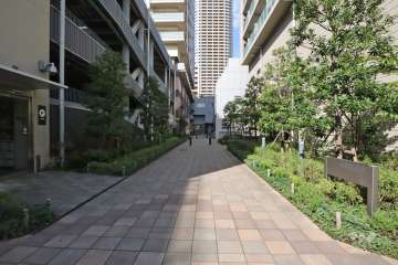 敷地東側の前面道路