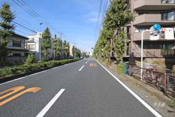 敷地西側の前面道路（南側から）